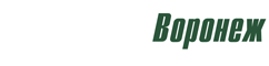 Старт Воронеж